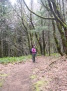 3.24.06 Dog Mountain 052 